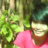 hieu_ngoc42