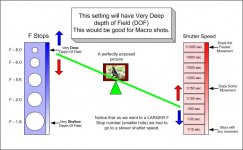 Depth of Field (DOF) 1.jpeg